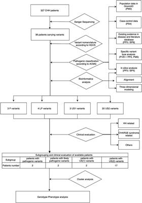 Classification of CHD7 Rare Variants in Chinese Congenital Hypogonadotropic Hypogonadism Patients and Analysis of Their Clinical Characteristics